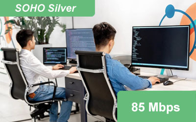 soho-silver